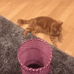 1662993649_6.gif