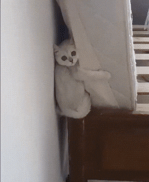 1662993716_18.gif