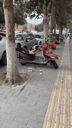 1663187774_19.gif