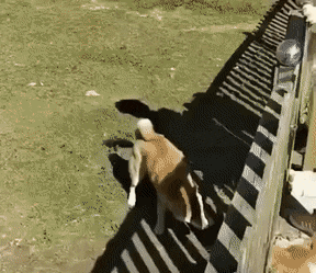 1663250338_4.gif