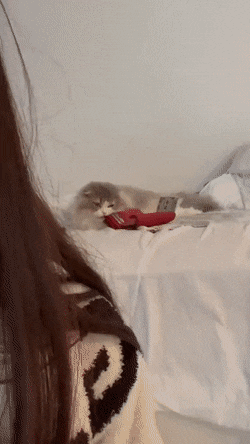 1663250378_19.gif