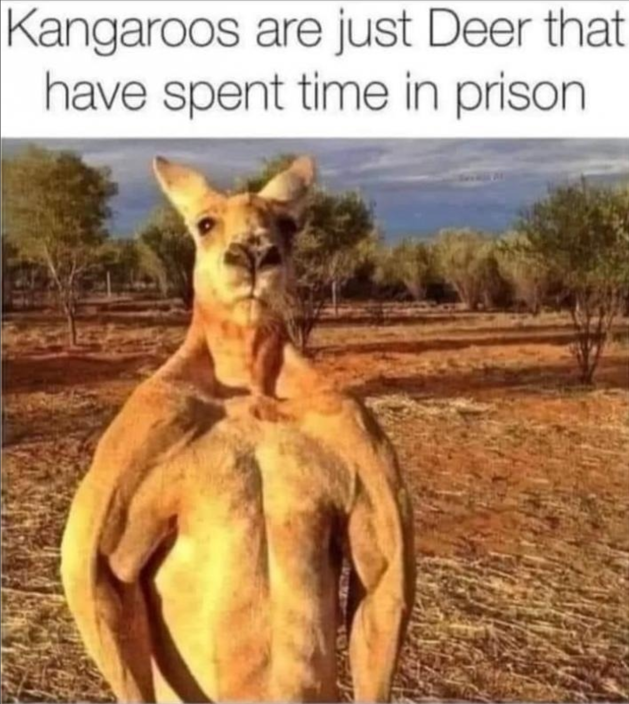 1663295675072.png