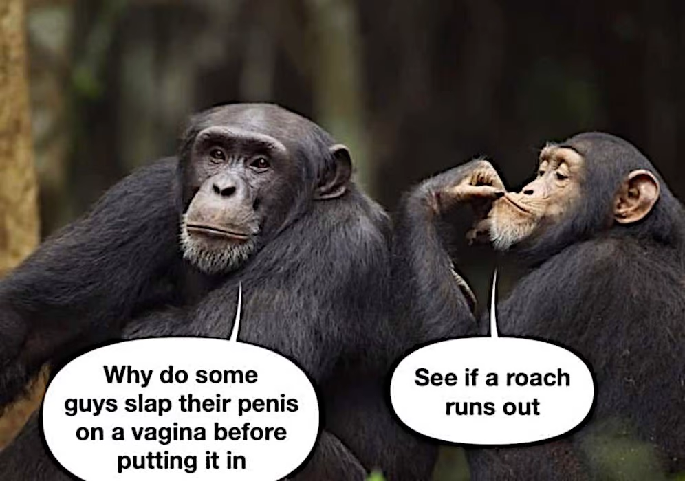 1663338401204.png