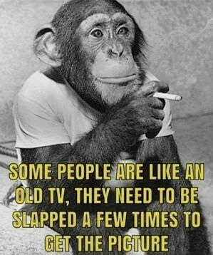 1663389151985.png