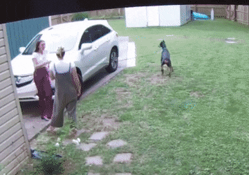 1663504934_19.gif