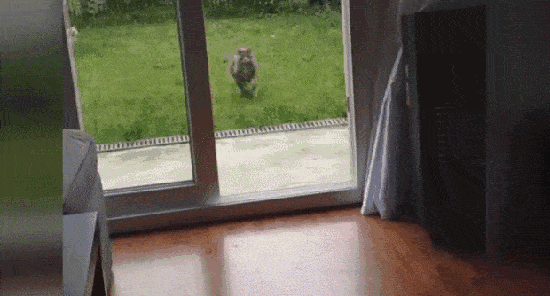 1663504935_11.gif