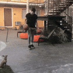 1663504947_6.gif