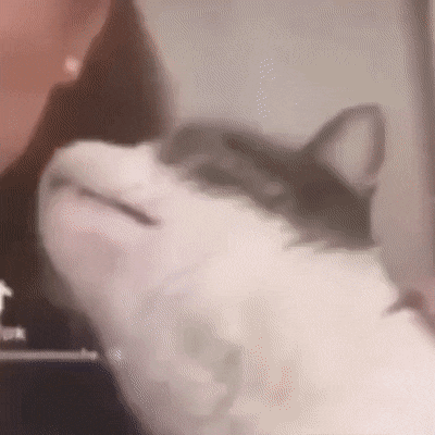 1663504972_15.gif