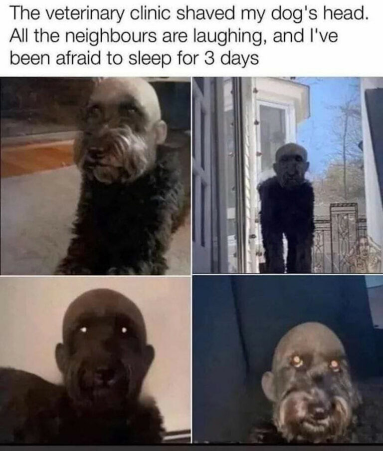 1663563028434.png