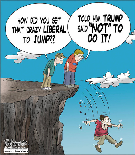 1663602663073.png