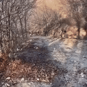 1663605046_6.gif