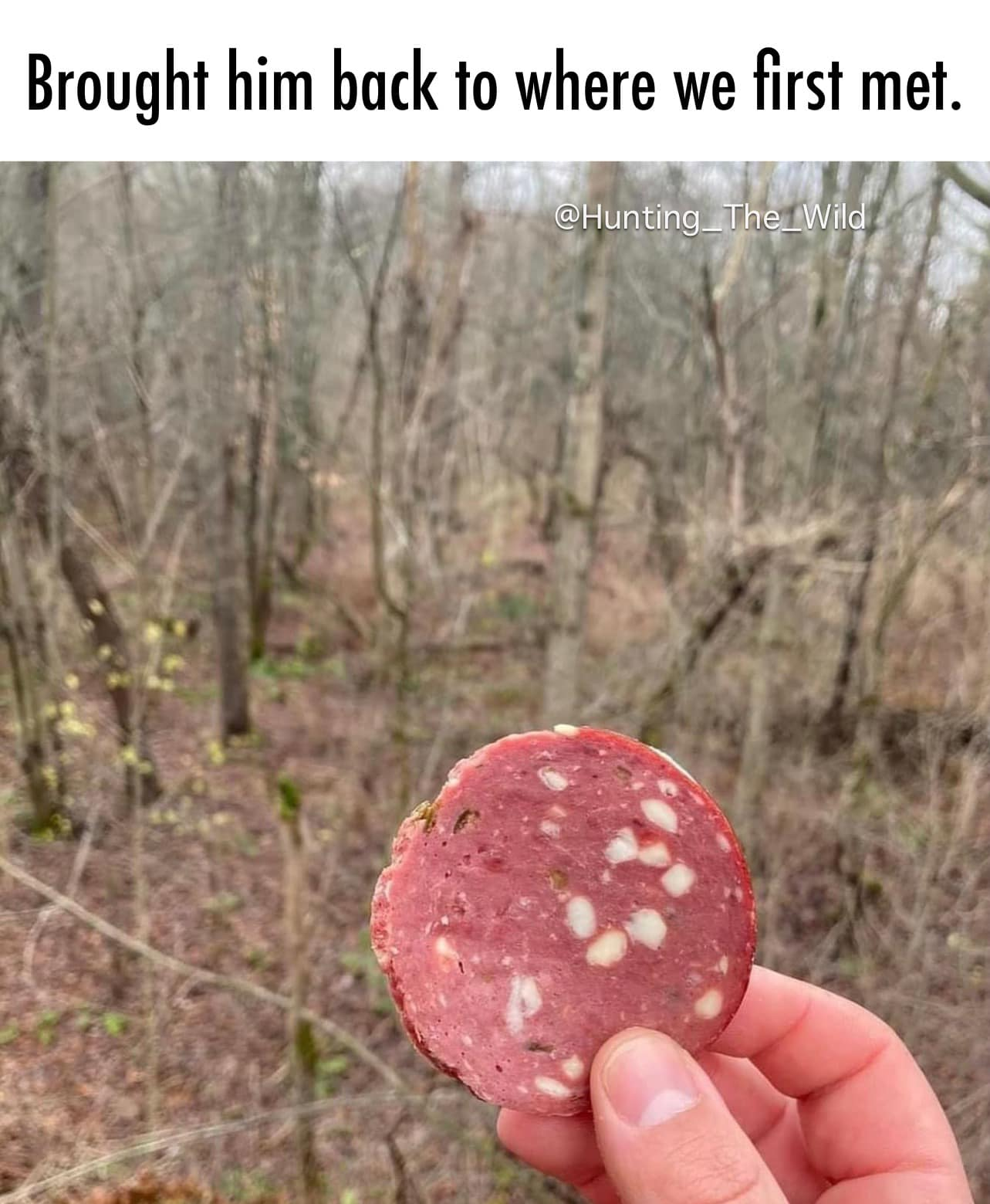 1663606361800.png