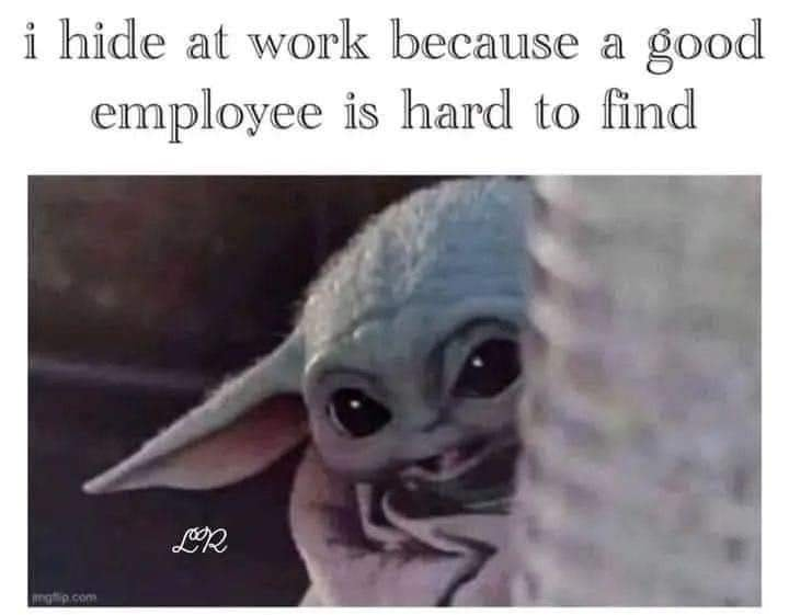 1663661384442.png