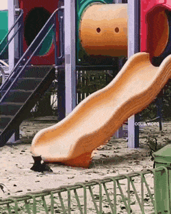 1663686373_12.gif