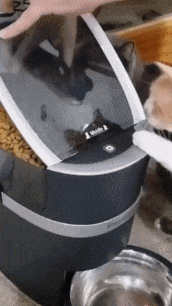 1663768321_12.gif