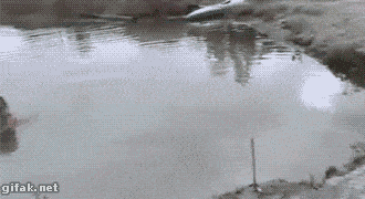 1663866198_7.gif