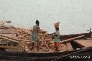 1663866222_8.gif