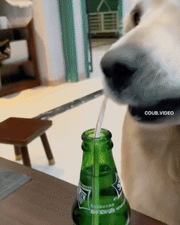 1664118588_6.gif