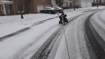 1664204904_11.gif