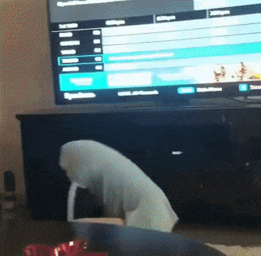 1664204912_9.gif