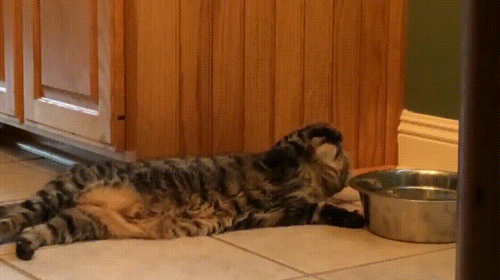1664289764_23.gif