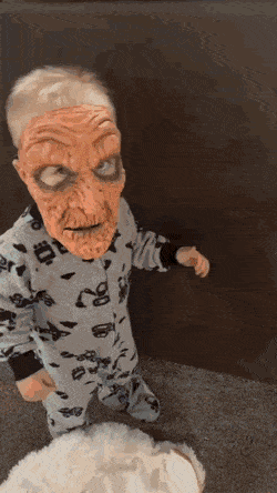 1664289775_3.gif
