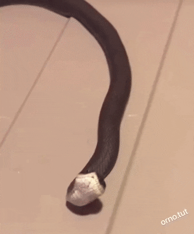 1664289804_18.gif