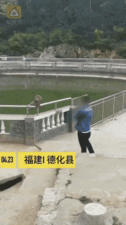 1664466795_17.gif