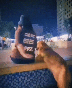 1664466800_19.gif