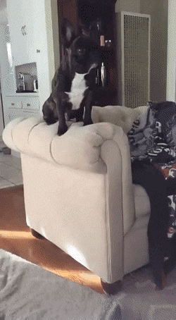 1664466806_2.gif