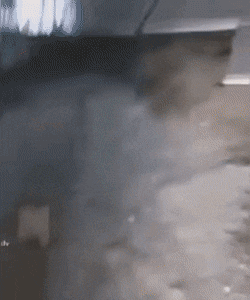 1664466820_18.gif