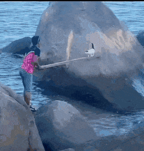 1664466832_6.gif