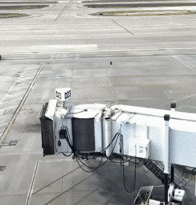 1664543667_19.gif