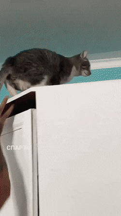 1664543687_6.gif
