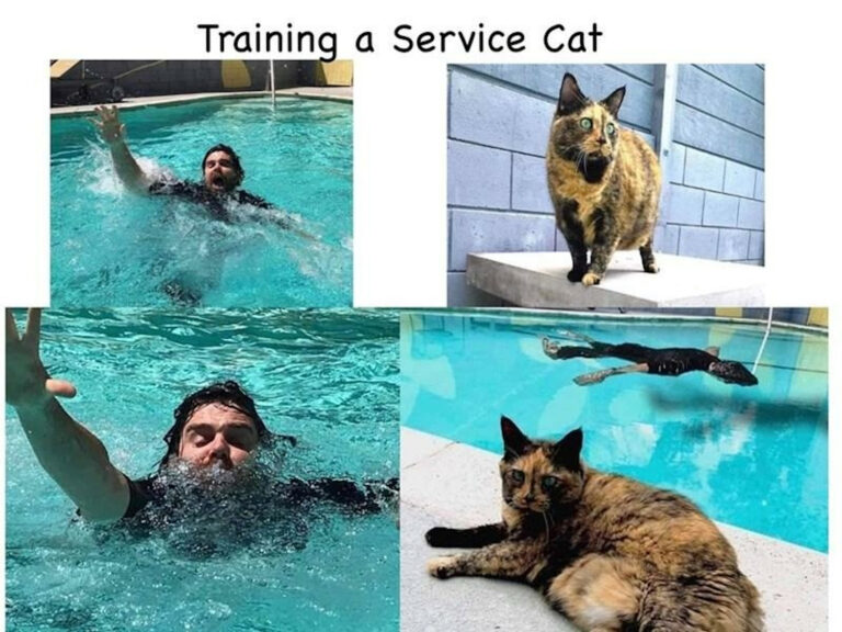 1664586130407.png