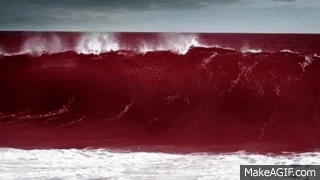 1664754454501.gif