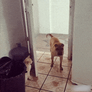 1664813577_2.gif