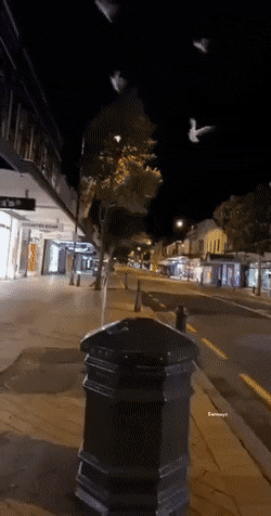 1664902607_11.gif