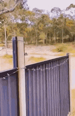 1664902661_12.gif