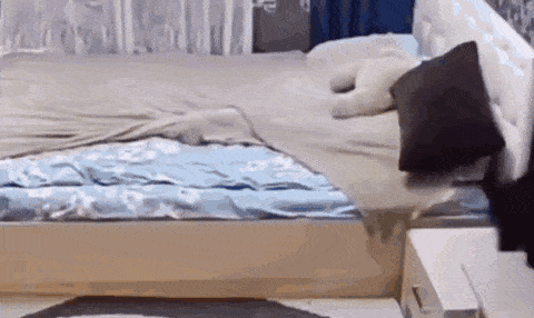 1665065133_22.gif