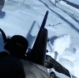 1665065184_24.gif