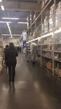 1665155112_12.gif
