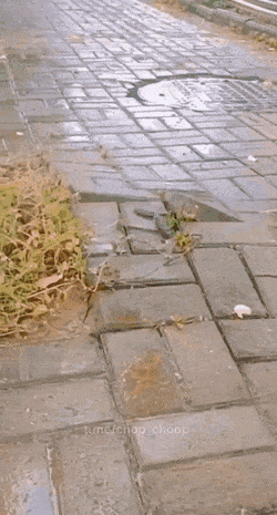1665155151_24.gif