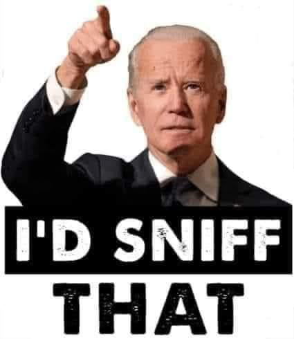 1665170845833.png