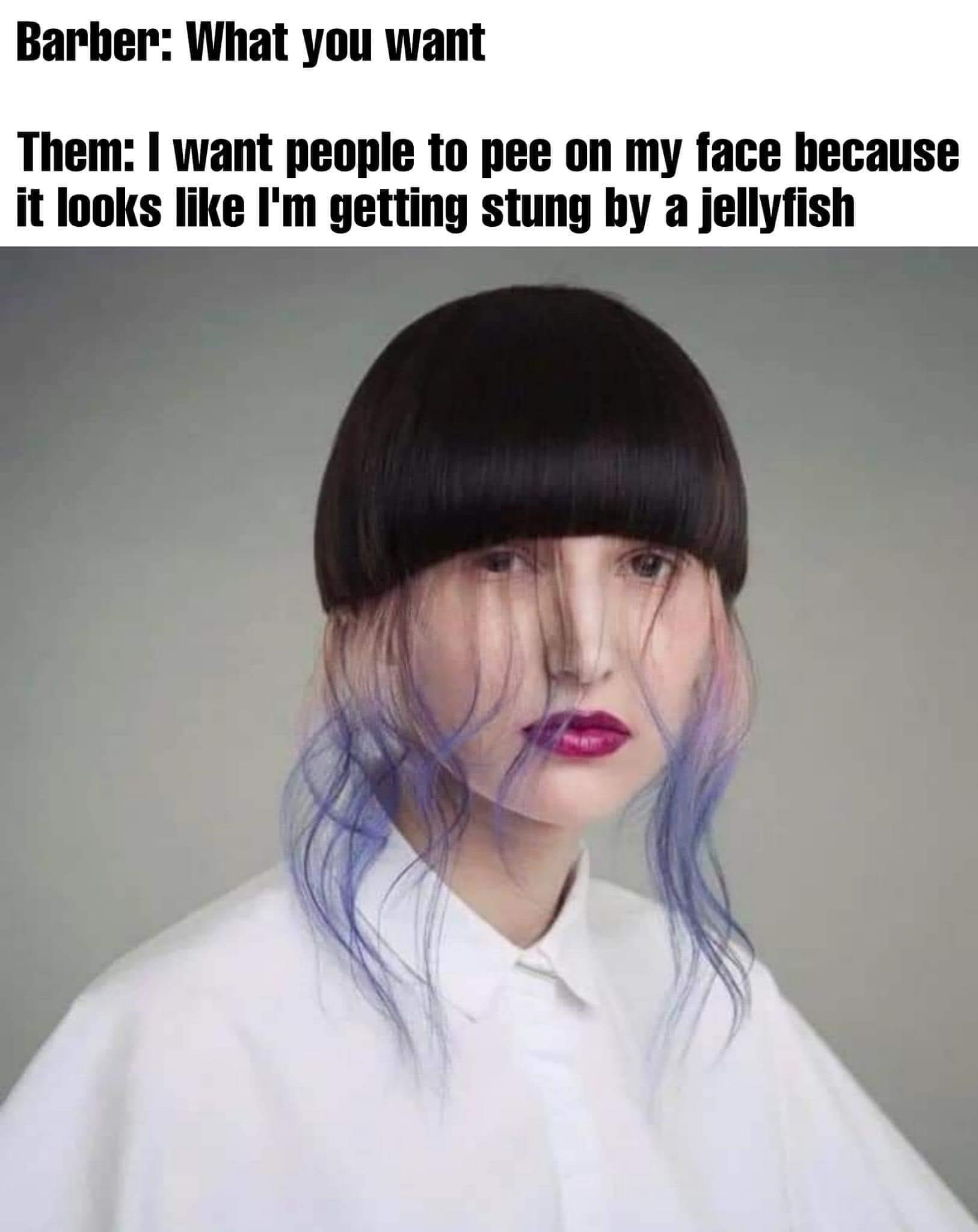 1665244779468.png