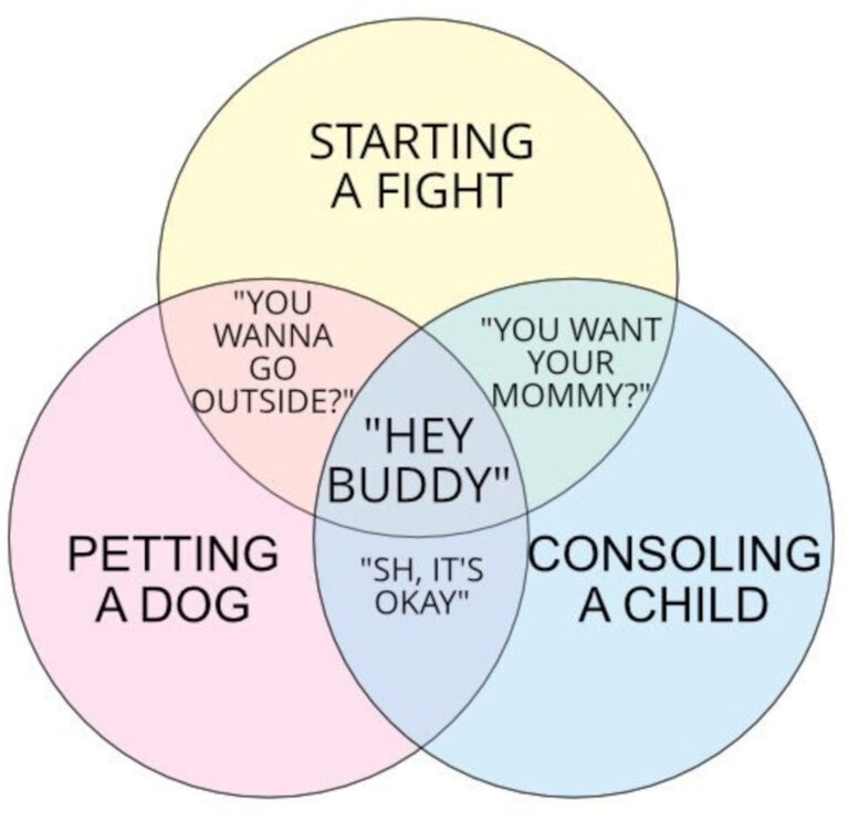 1665377779045.png