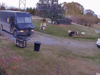 1665412315_9.gif