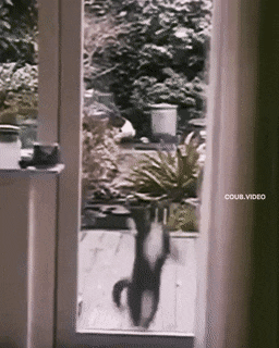 1665412343_21.gif
