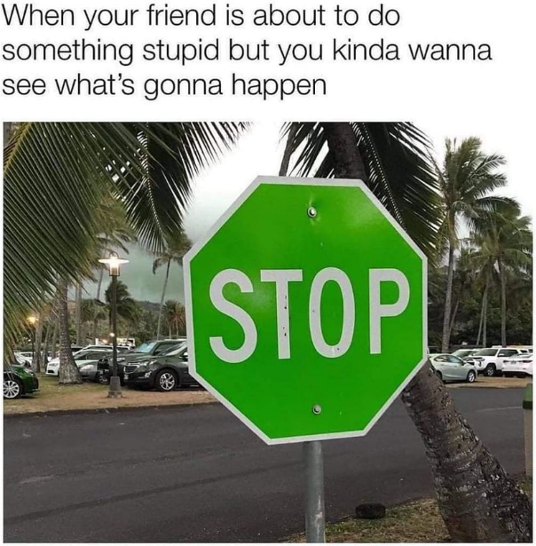 1665431645597.png
