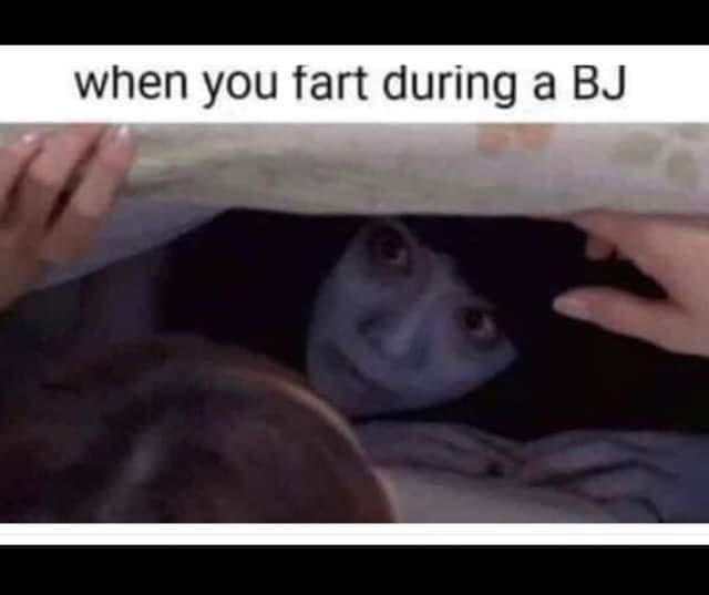 1665451960964.png